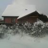 Sníh - kalamita