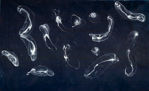 Jiří Georg Dokoupil: Bubbles about Dark Blue Porn (2009), akryl a mýdlové bubliny na plátně, 205 x 335 cm