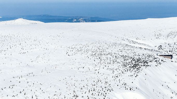 Krkonoše z výšky. Zimní snímky od Vrbatovy boudy až po Sněžku