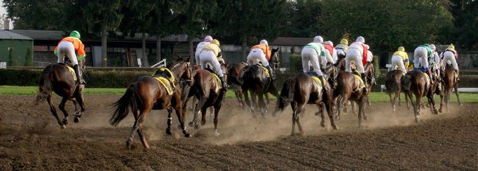 Velká pardubická 2015: oranice