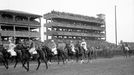 Velká pardubická steeplechase, 58. ročník, byl odstartován v neděli 12. října 1947. Na tribunách pardubického závodiště se sešli diváci, aby sledovali tento slavný dostih