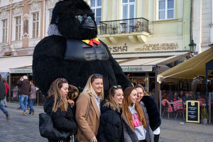 Praha chce zakázat obří masky medvědů, pand a goril