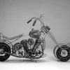Harley 8