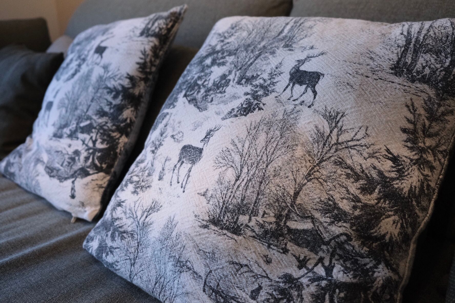 ChatkA České Švýcarsko