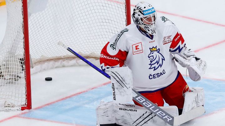 Pardubice mohutně posilují, přichází hned sedm hráčů, čtyři z KHL; Zdroj foto: Reuters