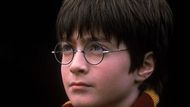 Harry Potter a Kámen mudrců (2001)