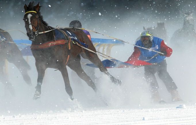 Skijöring, zimní disciplína, při které tahá kůň za sebou lyžaře, patří k největším lákadlům dostihů na sněhu ve Svatém Mořici.