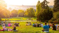 Riegrovy sady leží v Praze na Vinohradech. Jde o městský park o rozloze asi 11 hektarů. V místě se nacházejí dětská hřiště, sportovní stadion TJ Bohemians a sportoviště TJ Sokol Vinohrady.