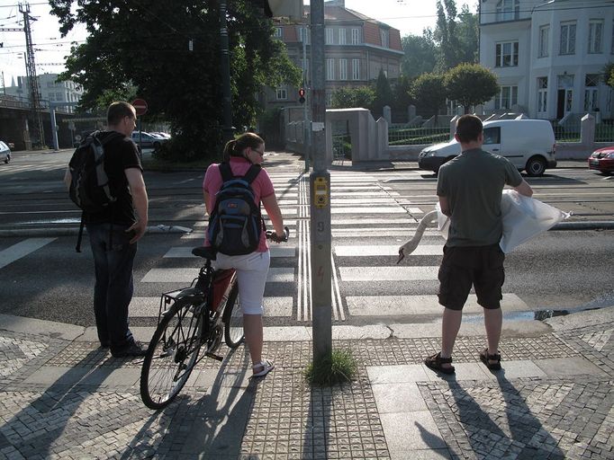 Pracovník Pražské zvířecí záchranky odnáší labuť velkou, která narazila do železničního mostu v Praze. Naštěstí si nezpůsobila příliš vážná zranění a po několika dnech se vrátila na Vltavu. Bohužel ne všechny podobné případy končí dobře.