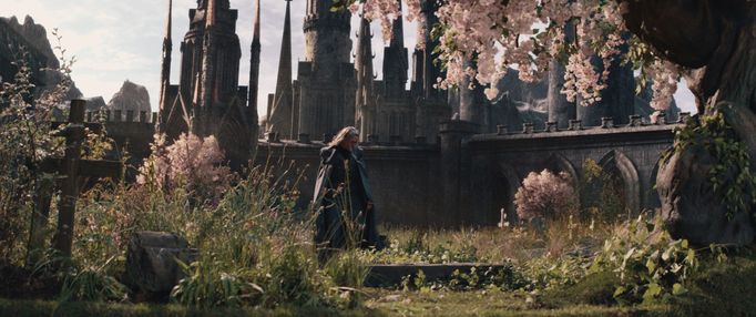 Film Dracula: Příběh lásky podkresluje dramatická hudba Dannyho Elfmana. Snímek se může opřít o rozpočet 45 milionů eur.