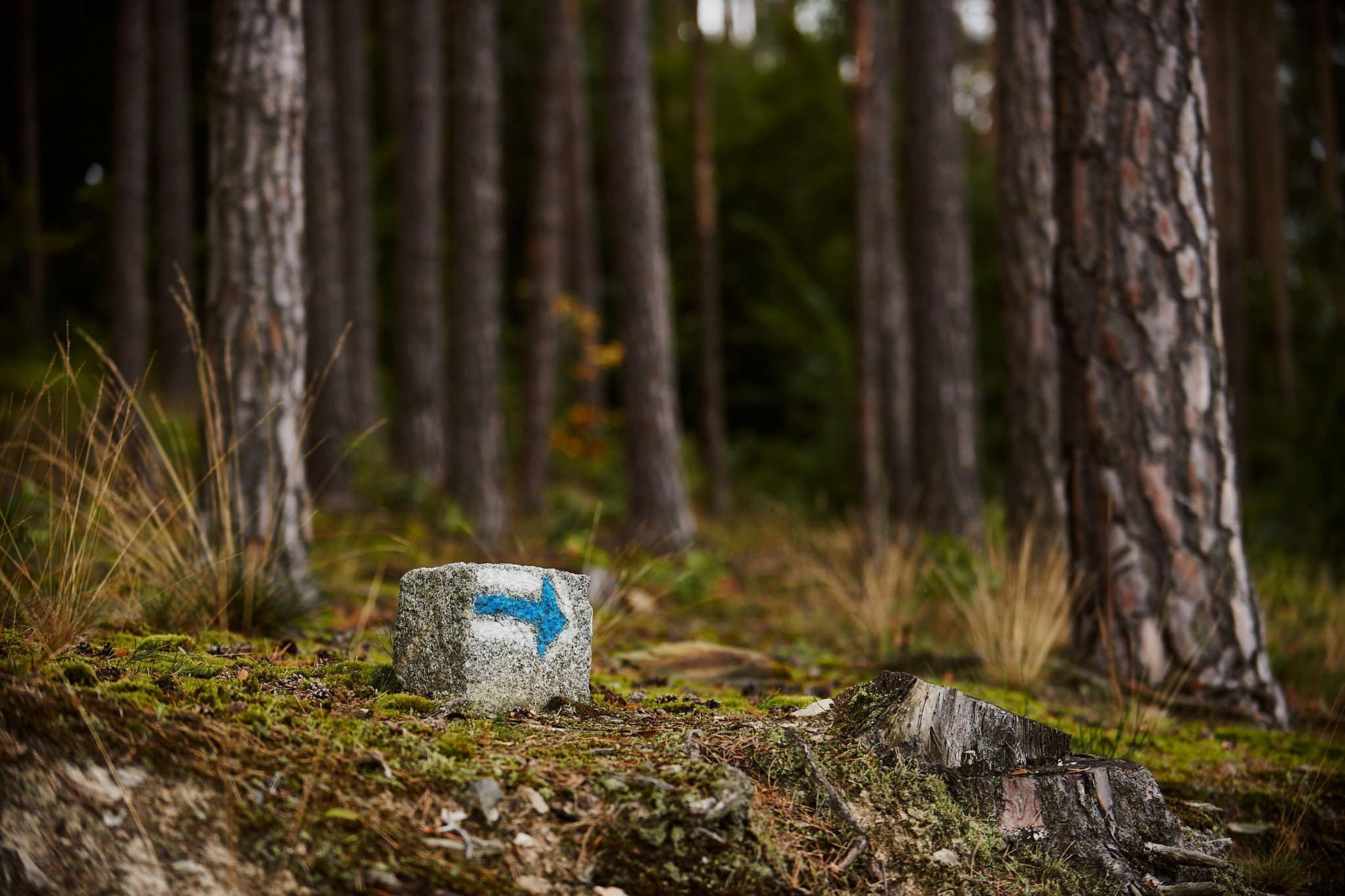 Vltava Run 2012-2022