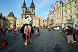 Staroměstské náměstí s pandou bez krtečka.