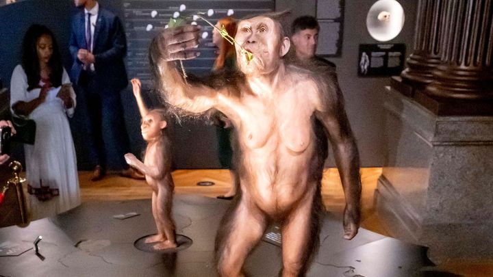 Díky Beatles má jméno Lucy, teď ji můžete vidět v Národním muzeu; Zdroj foto: ČTK