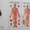 Centrum čínské mediciny ve Fakultní nemocnici v Hradci Králové