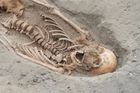 Archeologové našli v Peru obří pohřebiště, indiáni tu obětovali bohům 227 dětí