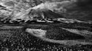 Sebastiao Salgado - Genesis