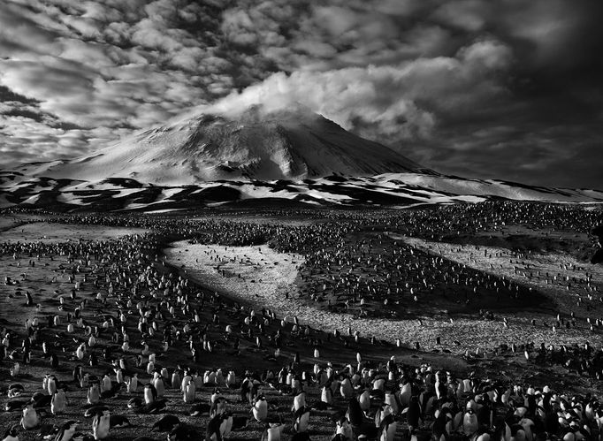 Sebastiao Salgado - Genesis