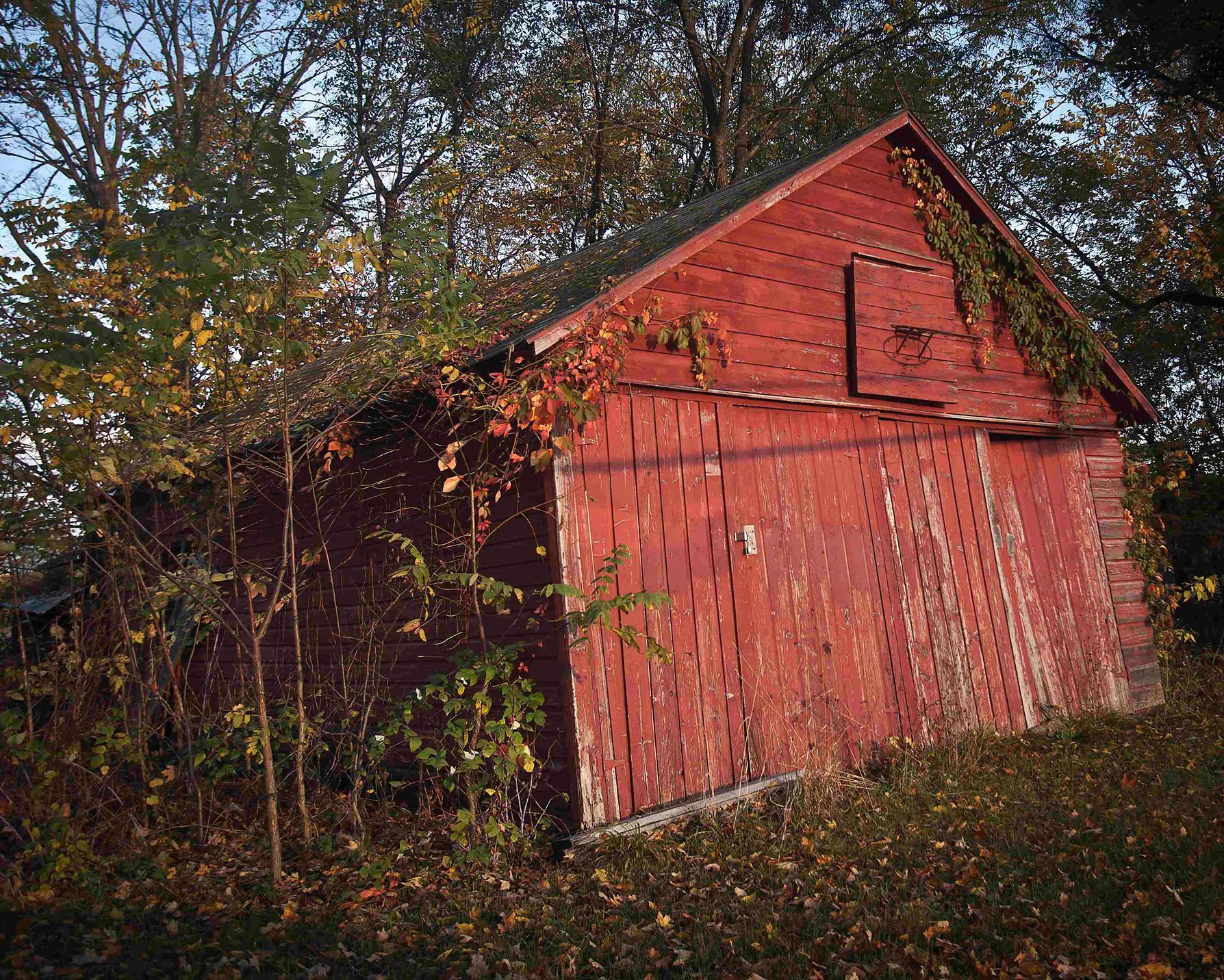 Vybydlená oblast Catskills nedaleko New Yorku
