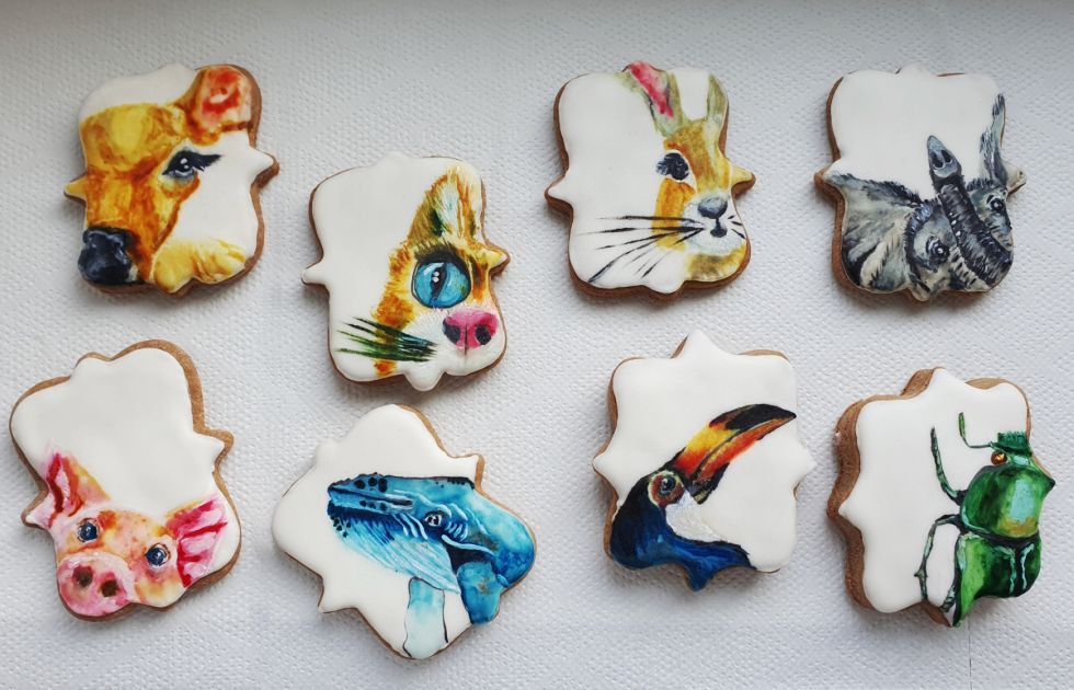 vanocni cukrovi, katerina faltynkova, zena