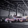 Mücke Motorsport 2017: Audi R8 LMS , Mercedes-AMG GT3. Formule 3, Formule 4