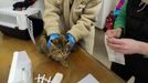 Organizace Pet Heroes má aktuálně v péči deset koček z Ukrajiny. Momentálně jsou v karanténě, kterou má útulek delší, než nařizuje Státní veterinární správa.