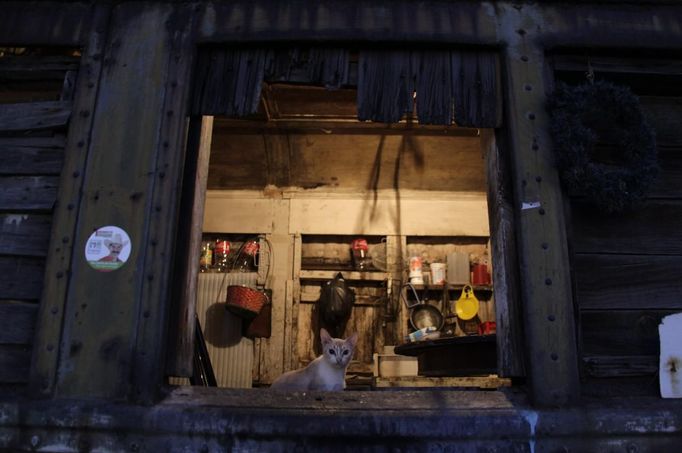 A cat sits in the window of a train carriage a family of nine call home in Cadereyta on the outskirts of Monterrey August 8, 2012. A family and their pets have been living in the abandoned carriage next to a train track for the last 15 years. A couple and their children moved from Tamaulipas to Cadereyta after one of their sons was killed on the street by a stray bullet. The family moved into the carriage, which was empty after having been occupied by a vagabond, after living for the first five years in a rented room after arriving in Cadereyta. Picture taken August 8, 2012. REUTERS/Daniel Becerril (MEXICO - Tags: SOCIETY ANIMALS) Published: Srp. 11, 2012, 2:25 dop.