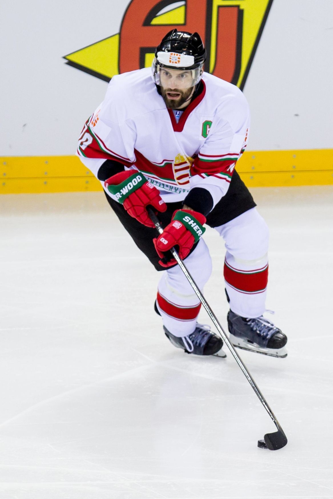 Kapitán maďarské hokejové reprezentace Marton Vas
