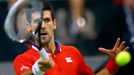 Davis Cup, finále Srbsko-ČR: Novak Djokovič