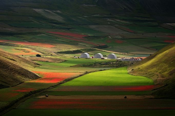 Rozkvetlé louky v okolí Castelluccia di Norcia, Itálie