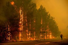 Na Opavsku hořelo devět hektarů lesa, hasiči evakuovali nedaleký tábor