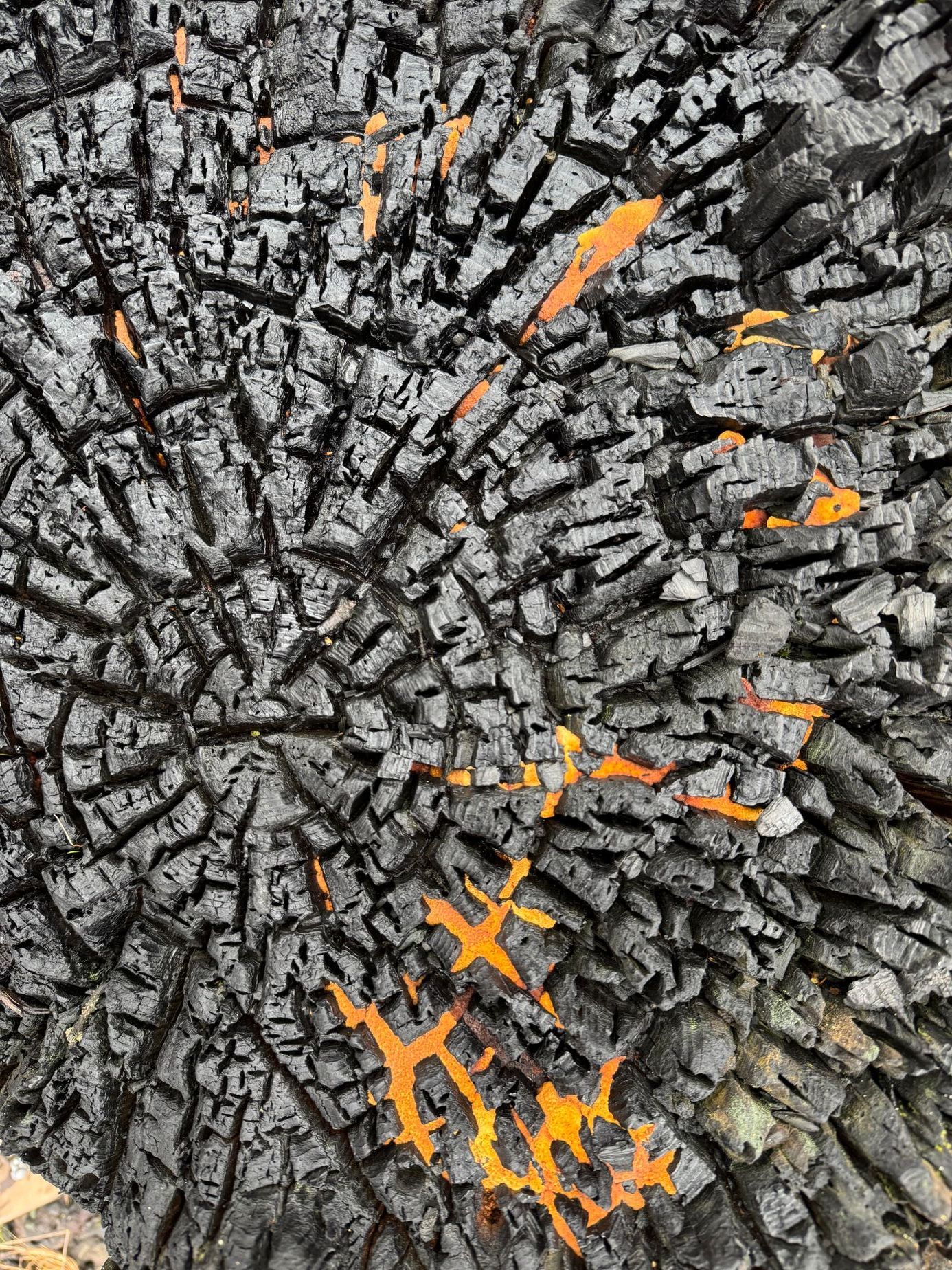 NP České Švýcarsko