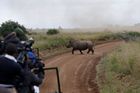 K akci byli přizváni také novináři, aby osud nosorožců přiblížili veřejnosti. Na celém světě podle serveru Save the Rhino, který mapuje populaci nosorožců, zbývá posledních 30 tisíc jedinců. Většina z nich přežívá v Jihoafrické republice.