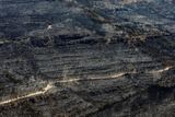 Ve Španělsku požáry spálily už přes 25 000 hektarů půdy a zemřeli při nich dva lidé.