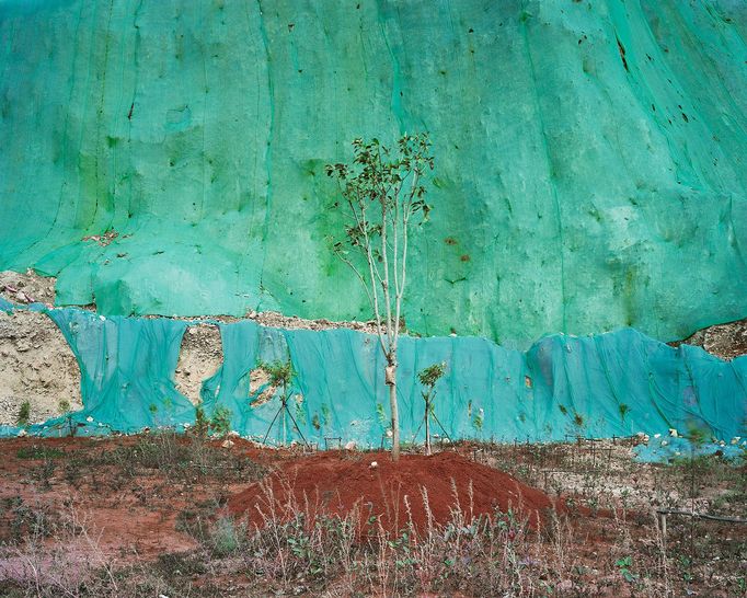 Vítězové soutěže Sony World Photography Awards 2019