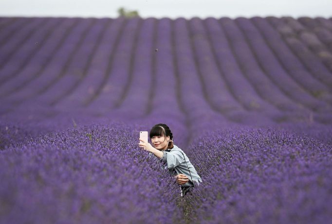 Podívejte se na nejkrásnější fotografie krajin za rok 2020, které nafotili fotoreportéři agentury Reuters