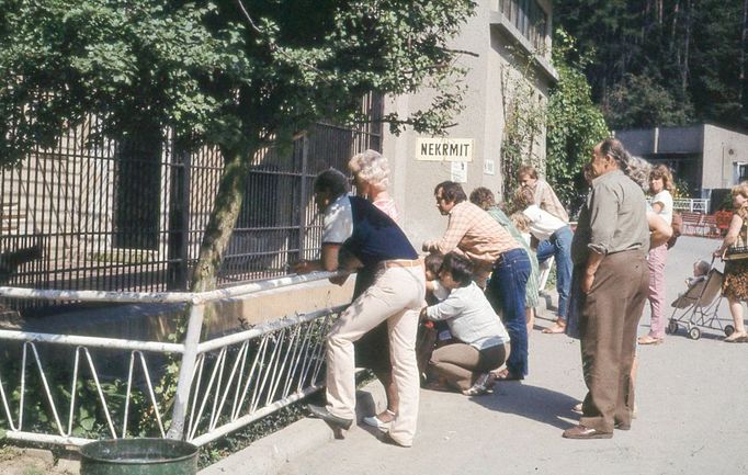 ZOO Liberec slaví 120 let od svého vzniku. Podívejte se na historické momenty a vývoj nejstarší zoologické zahrady v českých zemích od jejího založení v roce 1904.