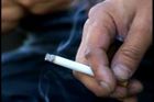 Gang výrobců cigaret zatčen. Ošidili daně o 150 milionů