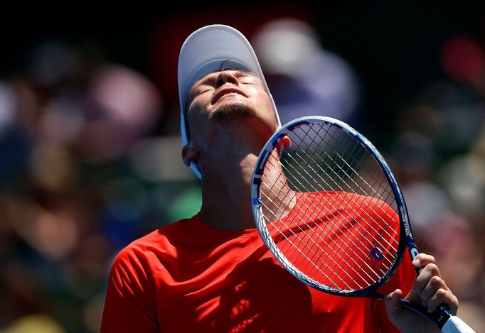 Tomáš Berdych při exhibici s Lleytonem Hewittem