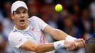 Davis Cup, finále Srbsko-ČR: Tomáš Berdych