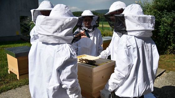 IMYB 2023, Mezinárodní setkání mladých včelařů