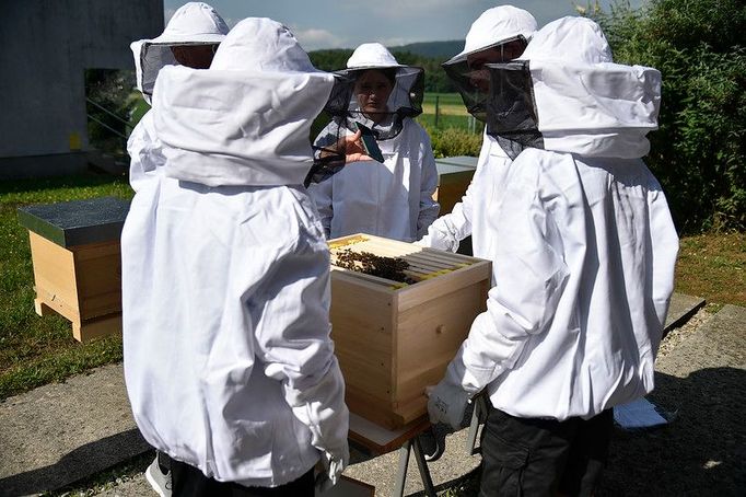 Mladí čeští včelaři bodovali na IMYB (Mezinárodní setkání mladých včelařů) ve Slovinsku
