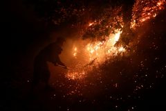 Na Gran Canarii zuří požár. Ohrožuje řadu obcí a národní park