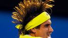 Australian Open: David Ferrer