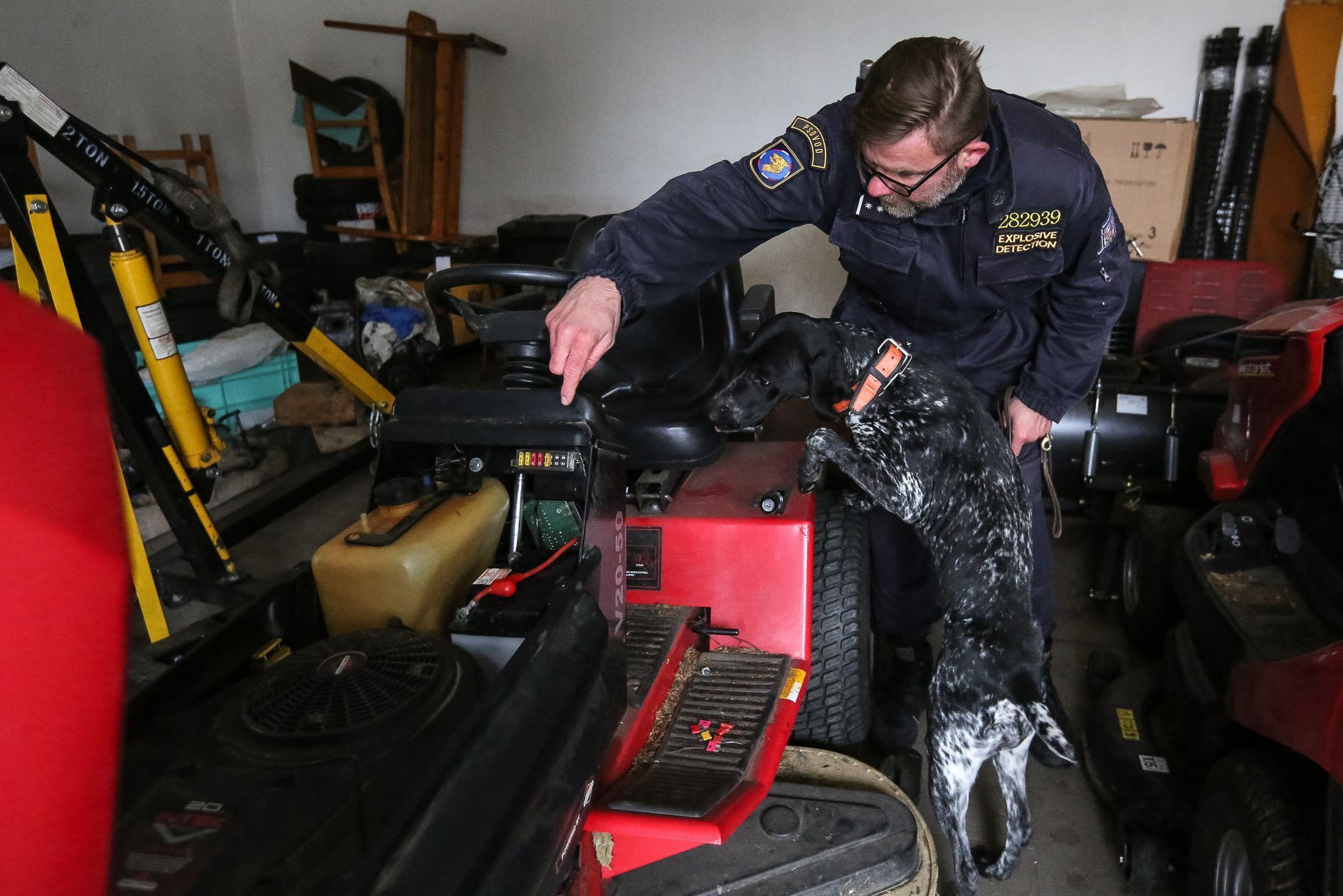 Výcvik policejních psů na hledání výbušnin, tzv. pyropsů