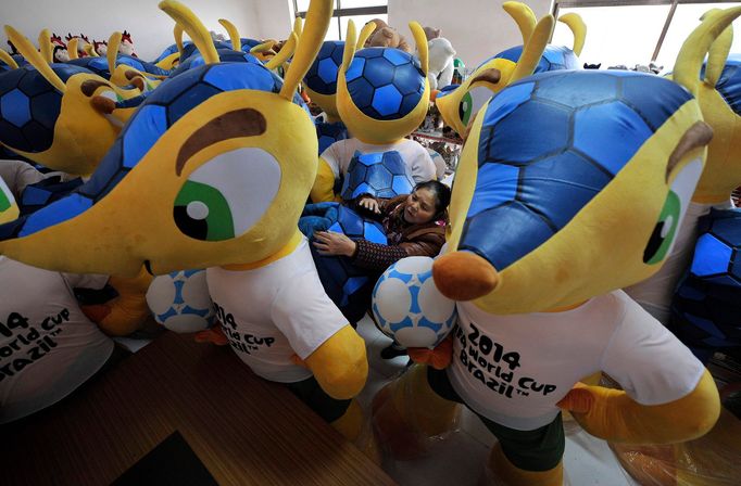 Fuleco, oficiální maskot MS ve fotbale 2014