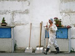 Z hal kosořínské drůbežárny vycházejí v pravidelných intervalech lidé, pracující na likvidaci ptačí chřipky. Cestou ven musí projít dekontaminační jednotkou.