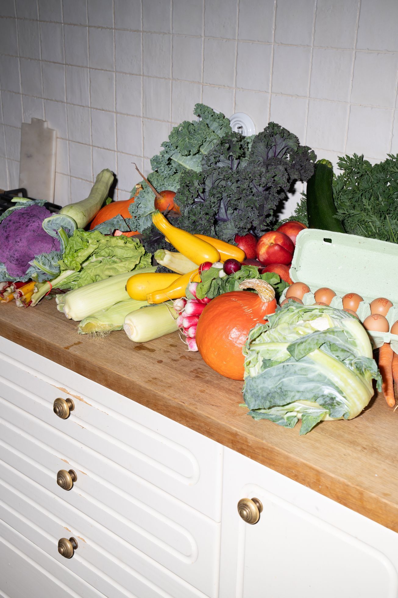 hodanová, rotbauerová, holistický přístup