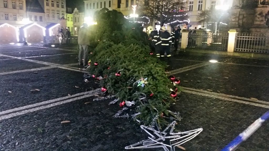 Spadlý vánoční strom v České Lípě