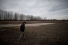 Zemědělci v celém Maďarsku hlásí "historické" škody způsobené suchem, které postihlo přibližně 550 tisíc hektarů půdy.