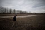 Zemědělci v celém Maďarsku hlásí "historické" škody způsobené suchem, které postihlo přibližně 550 tisíc hektarů půdy.
